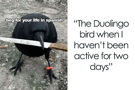 30 Hilariously Threatening Duolingo Memes .